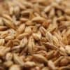 Acidulated Malt