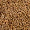 Rye Malt