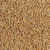 Wheat Malt