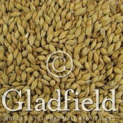 American Ale Malt - Gladfield