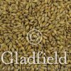 Gladiator Malt - Gladfield