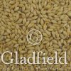 Lager Light Malt - Gladfield