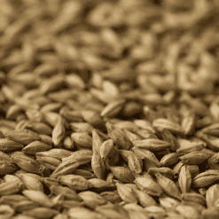 Peat Smoked Malt - Gladfield