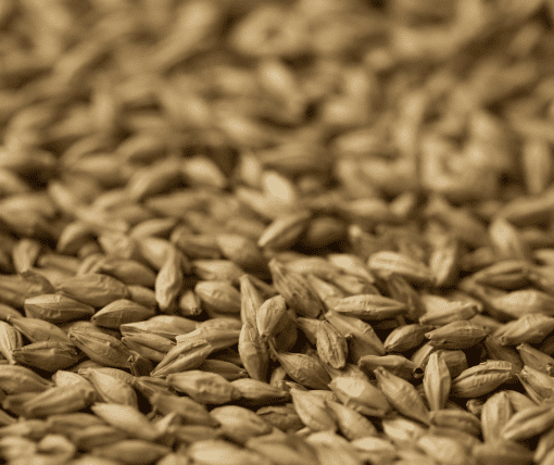 Peat Smoked Malt - Gladfield